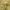 Maltiškoji linažolė - Linaria pseudolaxiflora | Fotografijos autorius : Deividas Makavičius | © Macrogamta.lt | Šis tinklapis priklauso bendruomenei kuri domisi makro fotografija ir fotografuoja gyvąjį makro pasaulį.