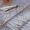 Trichocera major - Žieminis uodas | Fotografijos autorius : Arūnas Eismantas | © Macrogamta.lt | Šis tinklapis priklauso bendruomenei kuri domisi makro fotografija ir fotografuoja gyvąjį makro pasaulį.