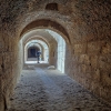 El Džemo amfiteatro tuneliai | Fotografijos autorius : Gintautas Steiblys | © Macrogamta.lt | Šis tinklapis priklauso bendruomenei kuri domisi makro fotografija ir fotografuoja gyvąjį makro pasaulį.