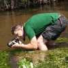 Gaujos upėje | Fotografijos autorius : Žilvinas Pūtys | © Macrogamta.lt | Šis tinklapis priklauso bendruomenei kuri domisi makro fotografija ir fotografuoja gyvąjį makro pasaulį.