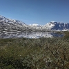 Pietinis Langvatneto (Søndre Lagervatnet) ežeras Breheimeno kalnų fone | Fotografijos autorius : Gintautas Steiblys | © Macrogamta.lt | Šis tinklapis priklauso bendruomenei kuri domisi makro fotografija ir fotografuoja gyvąjį makro pasaulį.