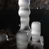 Ledo stalagmitai | Fotografijos autorius : Gintautas Steiblys | © Macrogamta.lt | Šis tinklapis priklauso bendruomenei kuri domisi makro fotografija ir fotografuoja gyvąjį makro pasaulį.