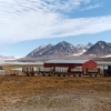 Ny-Alesund, Svalbard  | Fotografijos autorius : Gediminas Gražulevičius | © Macrogamta.lt | Šis tinklapis priklauso bendruomenei kuri domisi makro fotografija ir fotografuoja gyvąjį makro pasaulį.