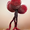 Slime mold - Cribraria purpurea | Fotografijos autorius : Eglė Vičiuvienė | © Macronature.eu | Macro photography web site