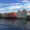 Trondheimas ir upė Nidelva | Fotografijos autorius : Gintautas Steiblys | © Macrogamta.lt | Šis tinklapis priklauso bendruomenei kuri domisi makro fotografija ir fotografuoja gyvąjį makro pasaulį.