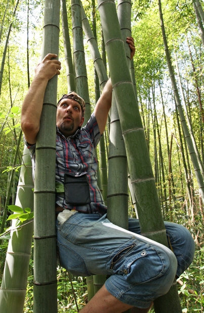 Kažkokia panda tarp bambukų | Fotografijos autorius : Gintautas Steiblys | © Macrogamta.lt | Šis tinklapis priklauso bendruomenei kuri domisi makro fotografija ir fotografuoja gyvąjį makro pasaulį.