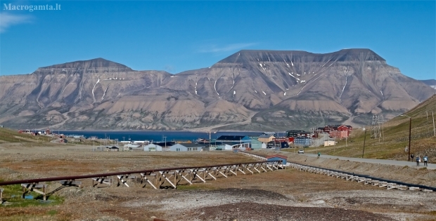 Longyearbyen, Svarbard | Fotografijos autorius : Gediminas Gražulevičius | © Macrogamta.lt | Šis tinklapis priklauso bendruomenei kuri domisi makro fotografija ir fotografuoja gyvąjį makro pasaulį.