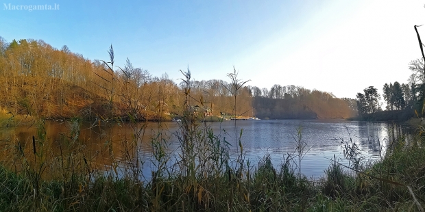 Rumšiškių įlankos ir Pravernos santaka | Fotografijos autorius : Gintautas Steiblys | © Macrogamta.lt | Šis tinklapis priklauso bendruomenei kuri domisi makro fotografija ir fotografuoja gyvąjį makro pasaulį.