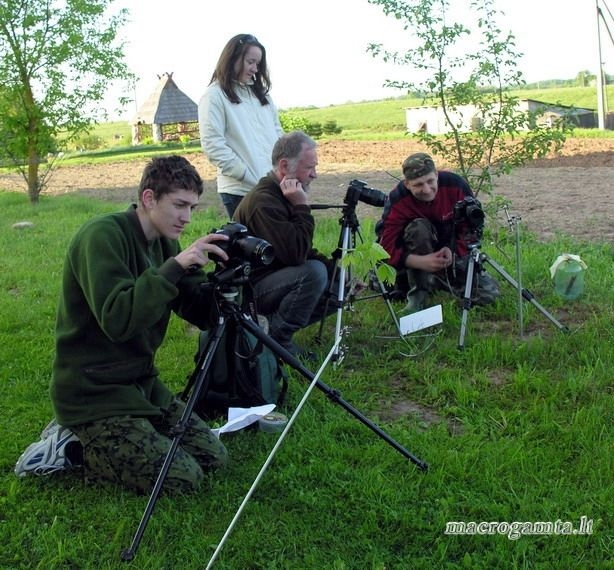 Rytinė fotosesija  | Fotografijos autorius : Algirdas Vilkas | © Macrogamta.lt | Šis tinklapis priklauso bendruomenei kuri domisi makro fotografija ir fotografuoja gyvąjį makro pasaulį.