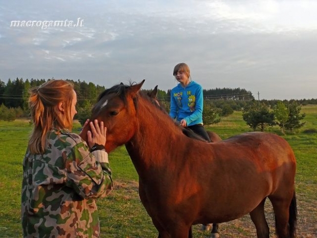 Merginos ir arkliai | Fotografijos autorius : Darius Baužys | © Macrogamta.lt | Šis tinklapis priklauso bendruomenei kuri domisi makro fotografija ir fotografuoja gyvąjį makro pasaulį.