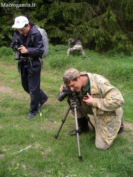 Darbymetis | Fotografijos autorius : Deividas Makavičius | © Macrogamta.lt | Šis tinklapis priklauso bendruomenei kuri domisi makro fotografija ir fotografuoja gyvąjį makro pasaulį.