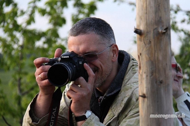 O kai kas iš už medžio šaudė ... | Fotografijos autorius : Valdimantas Grigonis | © Macrogamta.lt | Šis tinklapis priklauso bendruomenei kuri domisi makro fotografija ir fotografuoja gyvąjį makro pasaulį.