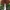  Gleivėtasis nuosėdis - Cortinarius mucosus | Fotografijos autorius : Vitalij Drozdov | © Macrogamta.lt | Šis tinklapis priklauso bendruomenei kuri domisi makro fotografija ir fotografuoja gyvąjį makro pasaulį.