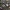  Pilkšvarudė bankera - Phellodon fuligineoalbus | Fotografijos autorius : Vitalij Drozdov | © Macrogamta.lt | Šis tinklapis priklauso bendruomenei kuri domisi makro fotografija ir fotografuoja gyvąjį makro pasaulį.