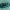 Ūsuotinis keršvabalis - Korynetes caeruleus | Fotografijos autorius : Žilvinas Pūtys | © Macrogamta.lt | Šis tinklapis priklauso bendruomenei kuri domisi makro fotografija ir fotografuoja gyvąjį makro pasaulį.