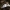 Žvynabudėlė - Echinoderma sp. | Fotografijos autorius : Kazimieras Martinaitis | © Macrogamta.lt | Šis tinklapis priklauso bendruomenei kuri domisi makro fotografija ir fotografuoja gyvąjį makro pasaulį.