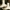 Čerpėtasis žvynadyglis - Sarcodon imbricatus | Fotografijos autorius : Ramunė Vakarė | © Macrogamta.lt | Šis tinklapis priklauso bendruomenei kuri domisi makro fotografija ir fotografuoja gyvąjį makro pasaulį.