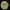 Amiantinė šlakabudė - Cystoderma amianthinum var. rugosoreticulatum | Fotografijos autorius : Aleksandras Stabrauskas | © Macrogamta.lt | Šis tinklapis priklauso bendruomenei kuri domisi makro fotografija ir fotografuoja gyvąjį makro pasaulį.