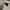 Antikinio Olympos uosto paminkliniai kapai | Fotografijos autorius : Gintautas Steiblys | © Macrogamta.lt | Šis tinklapis priklauso bendruomenei kuri domisi makro fotografija ir fotografuoja gyvąjį makro pasaulį.