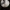 Auksiškoji ūmėdė - Russula claroflava | Fotografijos autorius : Vitalij Drozdov | © Macrogamta.lt | Šis tinklapis priklauso bendruomenei kuri domisi makro fotografija ir fotografuoja gyvąjį makro pasaulį.