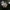 Avinė dirvapintė - Albatrellus ovinus | Fotografijos autorius : Vitalij Drozdov | © Macrogamta.lt | Šis tinklapis priklauso bendruomenei kuri domisi makro fotografija ir fotografuoja gyvąjį makro pasaulį.