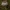 Baltikas - Tricholoma sp. | Fotografijos autorius : Žilvinas Pūtys | © Macrogamta.lt | Šis tinklapis priklauso bendruomenei kuri domisi makro fotografija ir fotografuoja gyvąjį makro pasaulį.