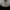 Blunkančioji ūmėdė - Russula decolorans | Fotografijos autorius : Vitalij Drozdov | © Macrogamta.lt | Šis tinklapis priklauso bendruomenei kuri domisi makro fotografija ir fotografuoja gyvąjį makro pasaulį.
