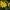 Bulvinė saulėgrąža / Topinambas - Helianthus tuberosus | Fotografijos autorius : Gintautas Steiblys | © Macrogamta.lt | Šis tinklapis priklauso bendruomenei kuri domisi makro fotografija ir fotografuoja gyvąjį makro pasaulį.