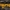 Citri̇ninė geltontaurė - Bisporella citrina | Fotografijos autorius : Žilvinas Pūtys | © Macrogamta.lt | Šis tinklapis priklauso bendruomenei kuri domisi makro fotografija ir fotografuoja gyvąjį makro pasaulį.