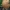 Raudonžvynis nuosėdis - Cortinarius bolaris | Fotografijos autorius : Vitalij Drozdov | © Macrogamta.lt | Šis tinklapis priklauso bendruomenei kuri domisi makro fotografija ir fotografuoja gyvąjį makro pasaulį.