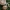 Cortinarius crassus | Fotografijos autorius : Vitalij Drozdov | © Macrogamta.lt | Šis tinklapis priklauso bendruomenei kuri domisi makro fotografija ir fotografuoja gyvąjį makro pasaulį.