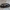 Daržinis žvilgvabalis - Glischrochilus hortensis | Fotografijos autorius : Žilvinas Pūtys | © Macrogamta.lt | Šis tinklapis priklauso bendruomenei kuri domisi makro fotografija ir fotografuoja gyvąjį makro pasaulį.