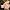 Didžioji meškabudė - Leucopaxillus giganteus | Fotografijos autorius : Ramunė Vakarė | © Macrogamta.lt | Šis tinklapis priklauso bendruomenei kuri domisi makro fotografija ir fotografuoja gyvąjį makro pasaulį.
