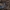 Didysis puošniažygis - Carabus coriaceus, lerva | Fotografijos autorius : Žilvinas Pūtys | © Macrogamta.lt | Šis tinklapis priklauso bendruomenei kuri domisi makro fotografija ir fotografuoja gyvąjį makro pasaulį.