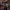 Mažasporė žalsvabudė - Simocybe centunculus | Fotografijos autorius : Vitalij Drozdov | © Macronature.eu | Macro photography web site