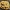 Šveinico rudapintė - Phaeolus schweinitzii | Fotografijos autorius : Gintautas Steiblys | © Macronature.eu | Macro photography web site