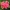 Raudonžiedė kalankė - Kalanchoe blossfeldiana | Fotografijos autorius : Gintautas Steiblys | © Macronature.eu | Macro photography web site