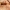Miškinis pluoštavoris - Centromerus sylvaticus ♂ | Fotografijos autorius : Žilvinas Pūtys | © Macrogamta.lt | Šis tinklapis priklauso bendruomenei kuri domisi makro fotografija ir fotografuoja gyvąjį makro pasaulį.