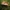 Gauruotkotis nuosėdis -  Cortinarius claricolor | Fotografijos autorius : Aleksandras Stabrauskas | © Macrogamta.lt | Šis tinklapis priklauso bendruomenei kuri domisi makro fotografija ir fotografuoja gyvąjį makro pasaulį.