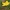 Geltonžiedė plukė - Anemonoides ranunculoides | Fotografijos autorius : Gintautas Steiblys | © Macrogamta.lt | Šis tinklapis priklauso bendruomenei kuri domisi makro fotografija ir fotografuoja gyvąjį makro pasaulį.