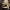 Geltonasis baltikas - Tricholoma sulphureum | Fotografijos autorius : Vitalij Drozdov | © Macrogamta.lt | Šis tinklapis priklauso bendruomenei kuri domisi makro fotografija ir fotografuoja gyvąjį makro pasaulį.