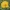 Geltonasis vaiklas - Glaucium flavum | Fotografijos autorius : Gintautas Steiblys | © Macrogamta.lt | Šis tinklapis priklauso bendruomenei kuri domisi makro fotografija ir fotografuoja gyvąjį makro pasaulį.