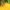 Geltonmargė hesperija - Carterocephalus silvicola | Fotografijos autorius : Ramunė Vakarė | © Macrogamta.lt | Šis tinklapis priklauso bendruomenei kuri domisi makro fotografija ir fotografuoja gyvąjį makro pasaulį.