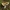 Geltonviršė ūmėdė - Russula ochroleuca | Fotografijos autorius : Žilvinas Pūtys | © Macrogamta.lt | Šis tinklapis priklauso bendruomenei kuri domisi makro fotografija ir fotografuoja gyvąjį makro pasaulį.
