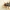 Geltonkraštis giriažygis - Leistus rufomarginatus | Fotografijos autorius : Vidas Brazauskas | © Macronature.eu | Macro photography web site