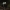 Pėdinė šalmabudė - Mycena stylobates | Fotografijos autorius : Vidas Brazauskas | © Macrogamta.lt | Šis tinklapis priklauso bendruomenei kuri domisi makro fotografija ir fotografuoja gyvąjį makro pasaulį.