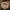 Gelsvarudis mažūnis - Marasmius cohaerens | Fotografijos autorius : Gintautas Steiblys | © Macrogamta.lt | Šis tinklapis priklauso bendruomenei kuri domisi makro fotografija ir fotografuoja gyvąjį makro pasaulį.