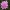 Gvaizdė - Armeria juniperifolia | Fotografijos autorius : Gintautas Steiblys | © Macrogamta.lt | Šis tinklapis priklauso bendruomenei kuri domisi makro fotografija ir fotografuoja gyvąjį makro pasaulį.