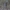 Ilgaūsis pušiagraužis - Acanthocinus aedilis ♀ | Fotografijos autorius : Žilvinas Pūtys | © Macrogamta.lt | Šis tinklapis priklauso bendruomenei kuri domisi makro fotografija ir fotografuoja gyvąjį makro pasaulį.
