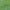 Ilgakojis uodas - Phylidorea ferruginea ♀ | Fotografijos autorius : Žilvinas Pūtys | © Macrogamta.lt | Šis tinklapis priklauso bendruomenei kuri domisi makro fotografija ir fotografuoja gyvąjį makro pasaulį.